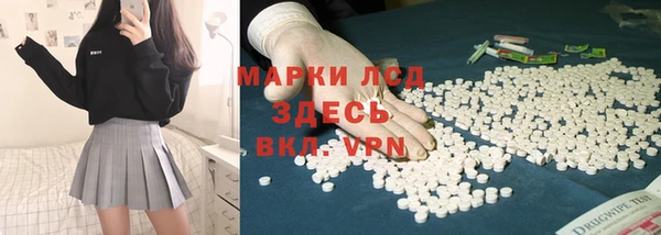 spice Арсеньев