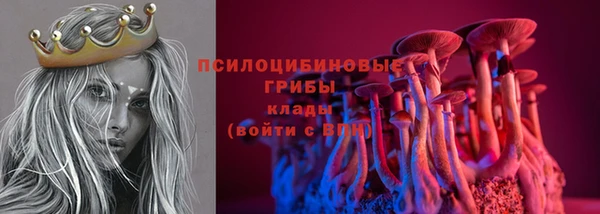 spice Арсеньев