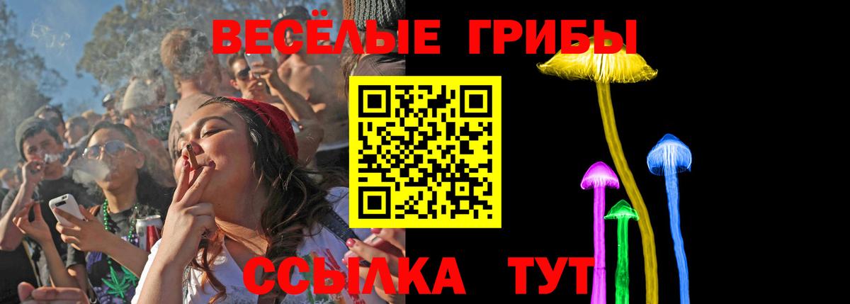 Галлюциногенные грибы Magic Shrooms Ярцево